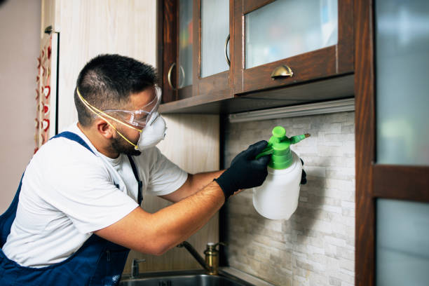Best Pest Removal Services  in Oak Park, MI