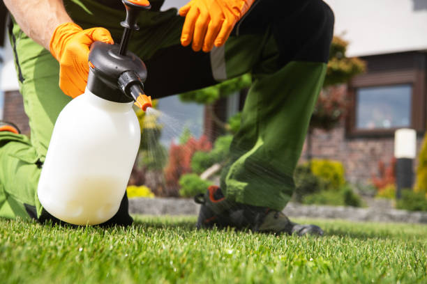 Best Cockroach Control Services  in Oak Park, MI