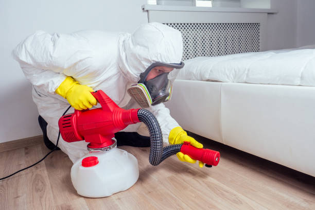 Best Termite Control Services  in Oak Park, MI